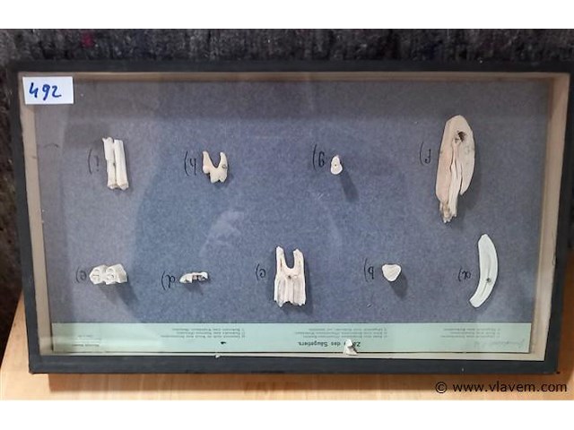 Oude lesmateriaal - afbeelding 1 van  1