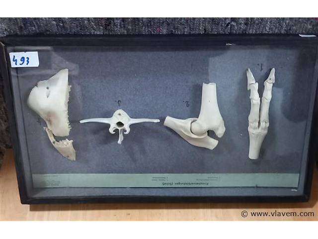 Oude lesmateriaal - afbeelding 1 van  1