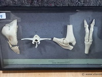 Oude lesmateriaal - afbeelding 1 van  1