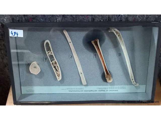 Oude lesmateriaal - afbeelding 1 van  1