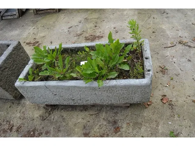 Oude trog 127x60x30 - afbeelding 4 van  5