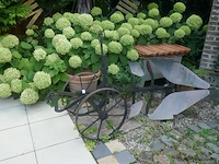 Oude veldploeg - afbeelding 1 van  2