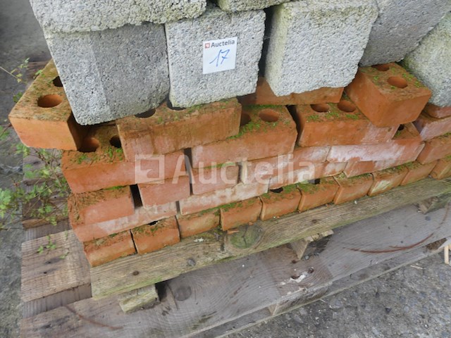 Overige bakstenen - afbeelding 1 van  13