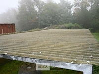Overkapping met golfplaten - afbeelding 6 van  8