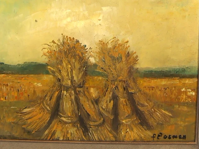 P. coenen 1981 - afbeelding 2 van  4