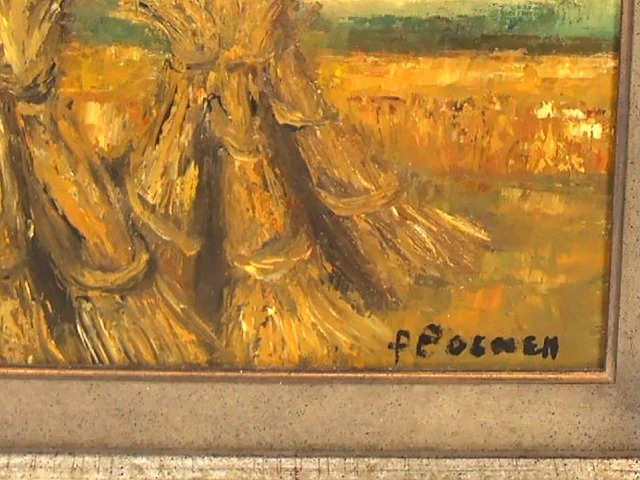 P. coenen 1981 - afbeelding 3 van  4