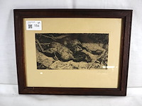 P zeleken - afbeelding 1 van  4