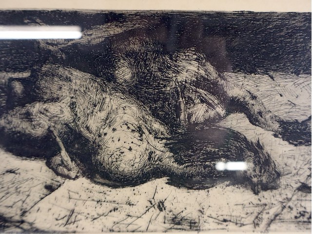 P zeleken - afbeelding 2 van  4