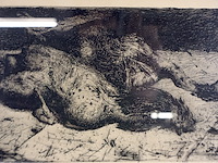 P zeleken - afbeelding 2 van  4