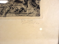 P zeleken - afbeelding 3 van  4