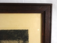 P zeleken - afbeelding 4 van  4