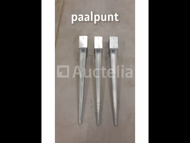 Paalpunt 5x - afbeelding 1 van  1