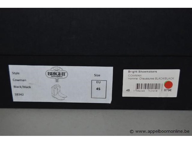 Paar herenlaarzen bright shoemakers maat 45 - afbeelding 3 van  4