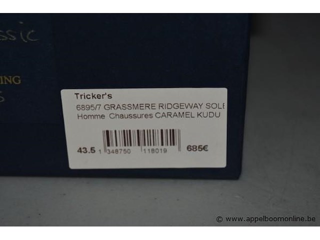 Paar herenschoenenen trickers maat 43,5 - afbeelding 3 van  5