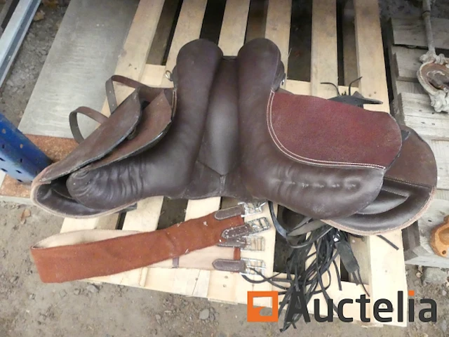 Paard zadel met singel [9554-090] - afbeelding 4 van  5