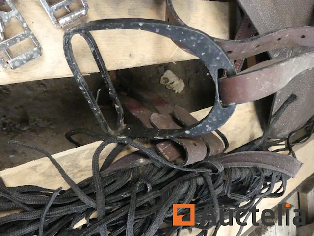 Paard zadel met singel [9554-090] - afbeelding 5 van  5