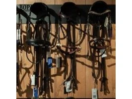 Paardenmateriaal