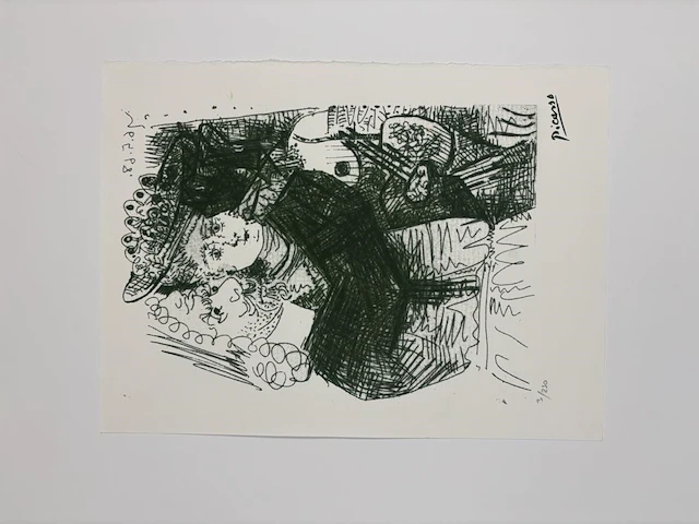 Pablo picasso - gelimiteerde editie - afbeelding 1 van  1