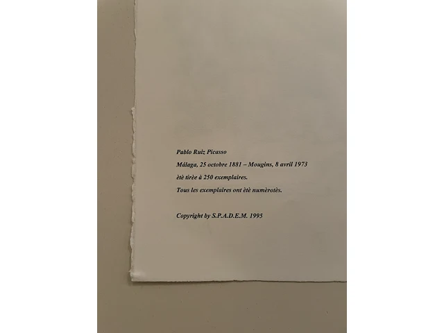Pablo picasso - afbeelding 5 van  5