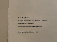 Pablo picasso - afbeelding 5 van  5