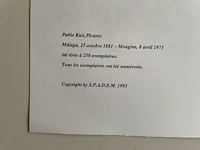 Pablo picasso - afbeelding 5 van  5