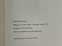 Pablo picasso - afbeelding 5 van  5