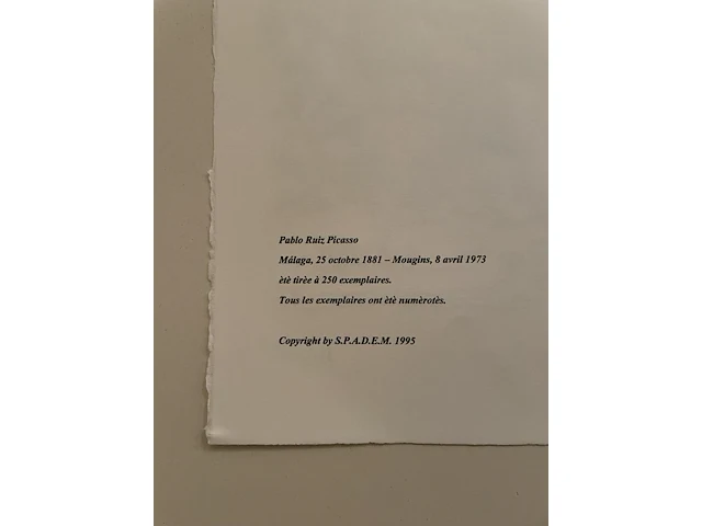 Pablo picasso - afbeelding 5 van  5