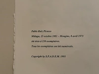 Pablo picasso - afbeelding 5 van  5