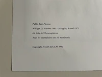 Pablo picasso - afbeelding 5 van  5