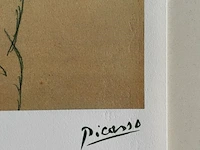 Pablo picasso - afbeelding 4 van  5