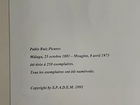 Pablo picasso - afbeelding 5 van  5