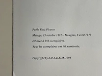 Pablo picasso - afbeelding 5 van  5