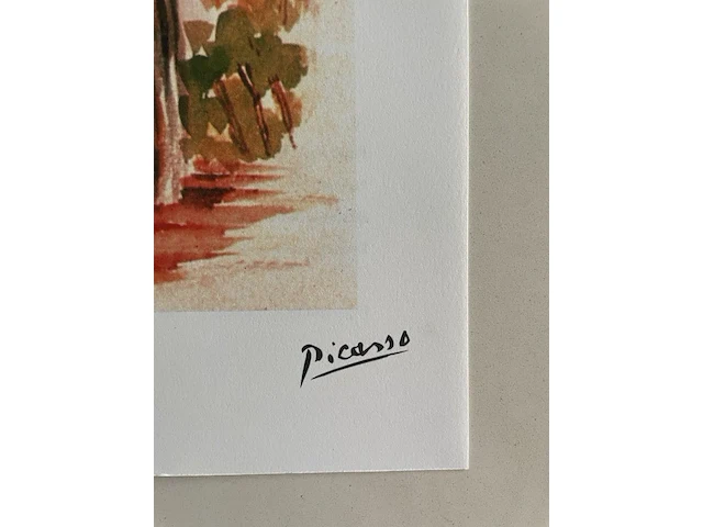 Pablo picasso - afbeelding 4 van  5