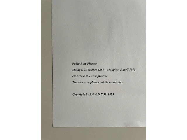 Pablo picasso - afbeelding 5 van  5