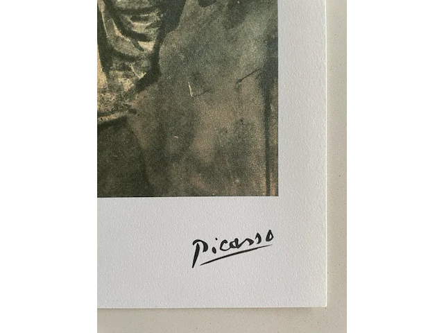 Pablo picasso - afbeelding 4 van  5