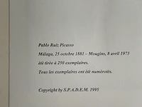 Pablo picasso - afbeelding 5 van  5