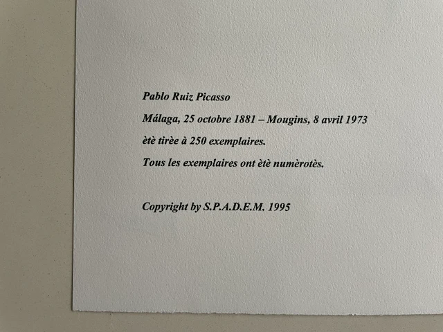 Pablo picasso - afbeelding 5 van  5