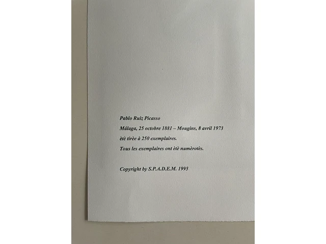 Pablo picasso - afbeelding 5 van  5