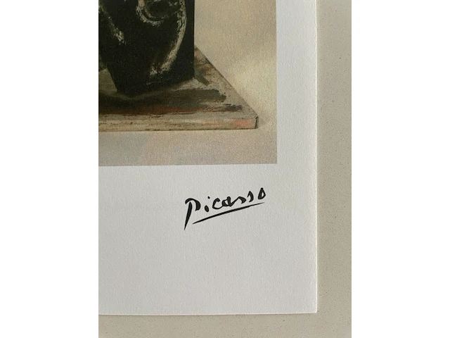 Pablo picasso - afbeelding 4 van  5