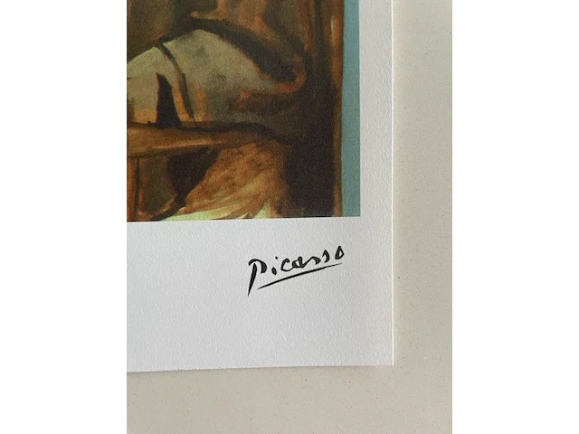 Pablo picasso - afbeelding 4 van  5
