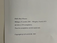 Pablo picasso - afbeelding 5 van  5