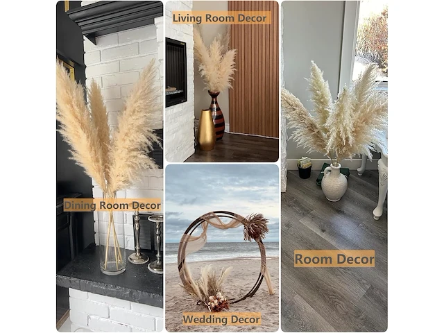 Pack v 10 pampasgras 100cm - afbeelding 2 van  2