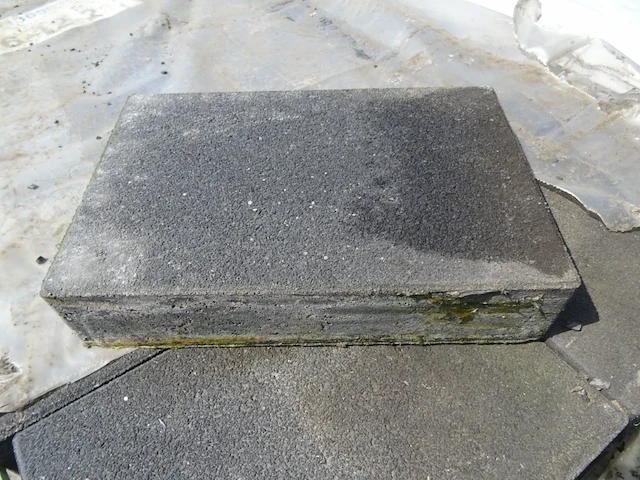 Pallet betondallen - afbeelding 1 van  3
