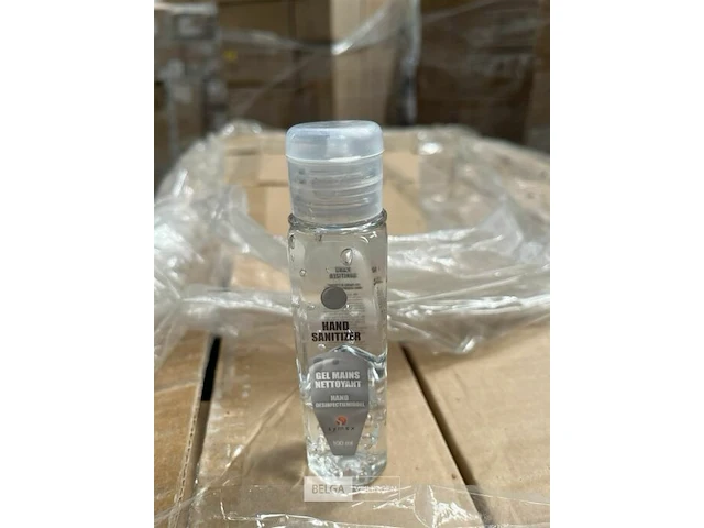 Pallet desinfecterende handgel 100ml - afbeelding 1 van  3