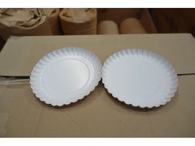 Pallet diverse inlegverpakkingen - afbeelding 2 van  3