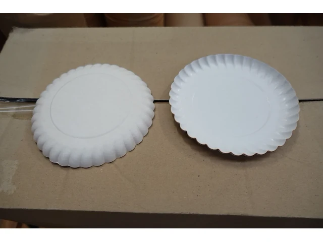 Pallet diverse inlegverpakkingen - afbeelding 3 van  3