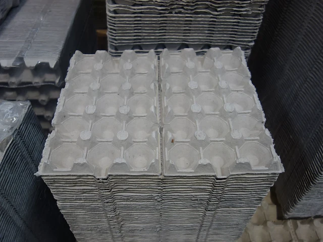 Pallet eiertrays - afbeelding 3 van  4