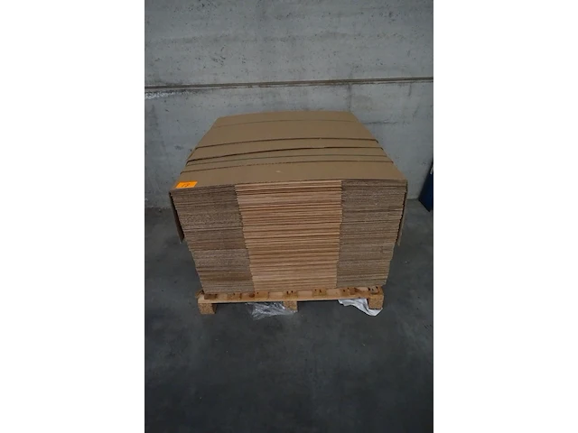 Pallet kartonverpakking - afbeelding 1 van  2