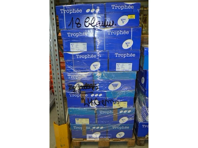 Pallet kopieerpapier trophee a3 - afbeelding 1 van  3