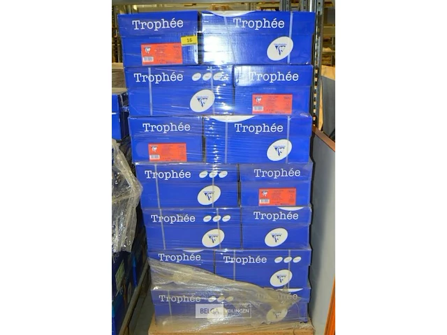Pallet kopieerpapier trophee a3 - afbeelding 1 van  4